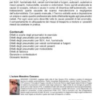 Difetti degli pneumatici - immagine 2