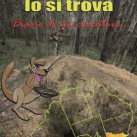 L'oro è dove lo si trova - diario di un ricercatore... - immagine 1