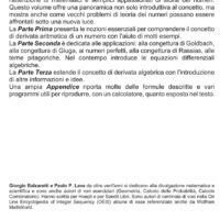 LA DERIVATA ARITMETICA - immagine 2
