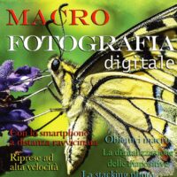 Macrofotografia digitale - immagine 1