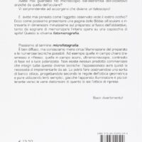 Microfotografia e fotomicrografia - immagine 2