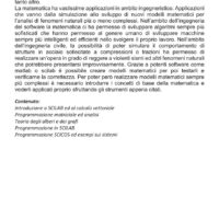 Programmazione matematica - immagine 2