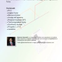 Regolatori fuzzy per PLC - immagine 2