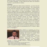 Robotica industriale - immagine 2